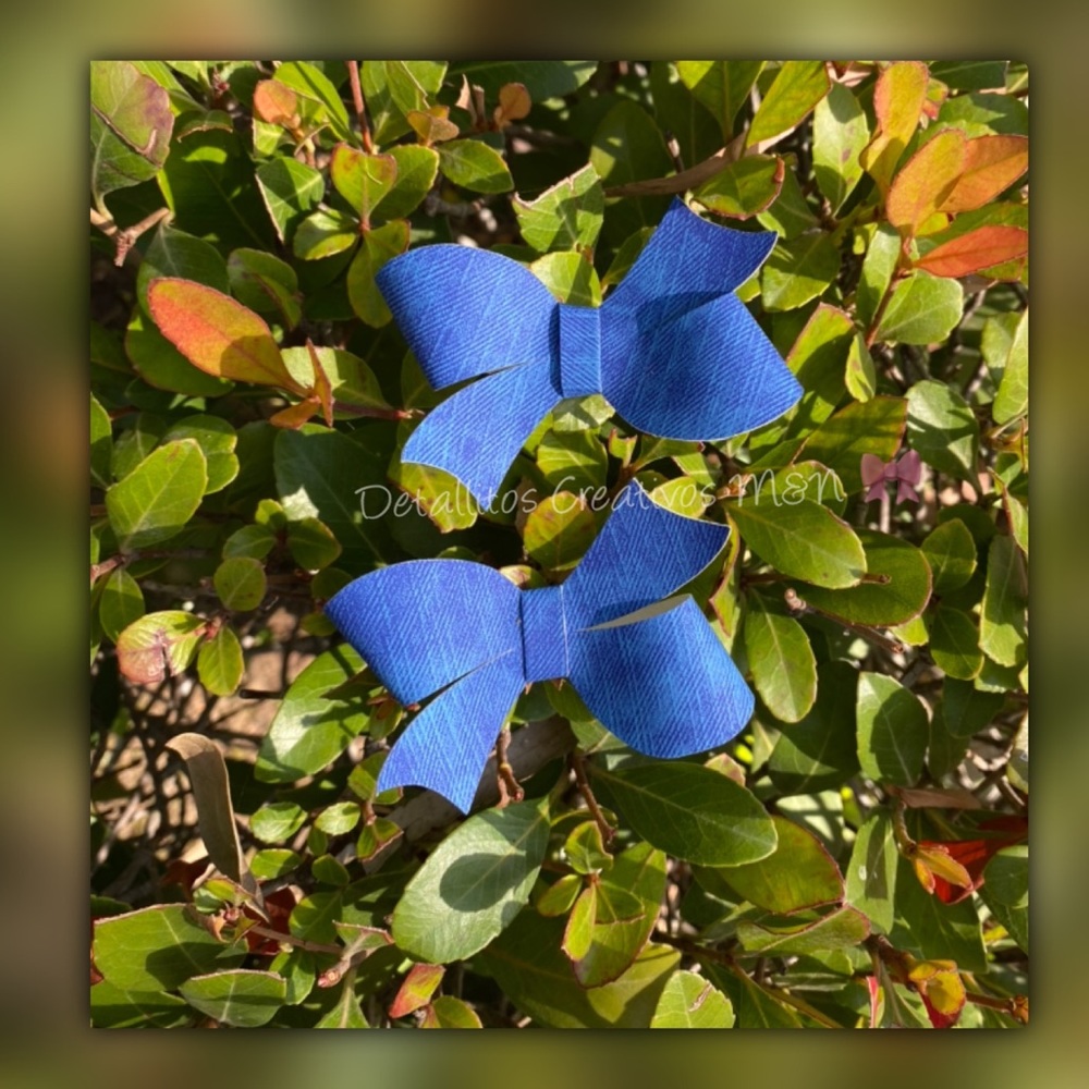 cute set of blue bows